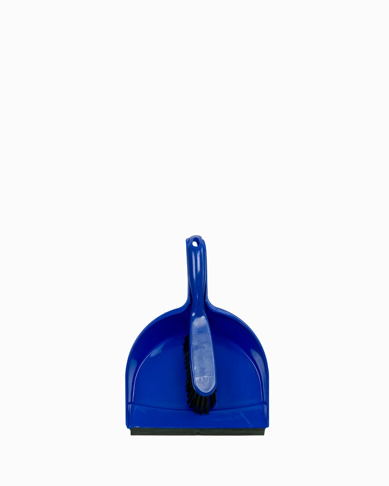 Dust Pan with Brush Small